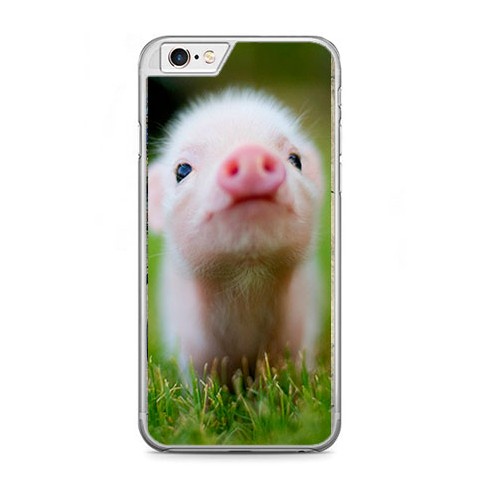 Etui na telefon iPhone 6 Plus / 6s Plus - mała świnka.