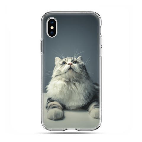 Apple iPhone X / Xs - etui na telefon - Ciekawski szary kot