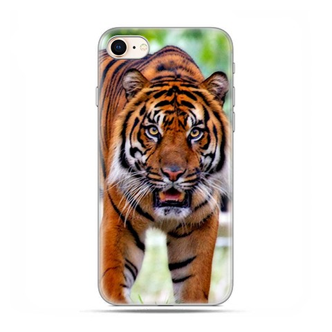 Apple iPhone 8 - etui case na telefon - Dumny tygrys