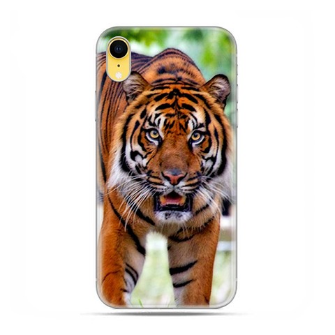Apple iPhone XR - etui na telefon - Dumny tygrys