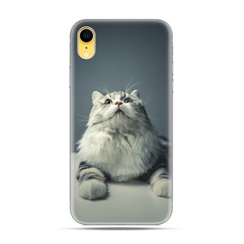 Apple iPhone XR - etui na telefon - Ciekawski szary kot