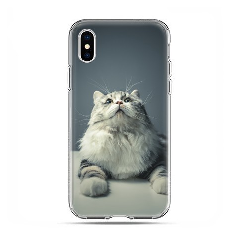 Apple iPhone Xs Max - etui na telefon - Ciekawski szary kot