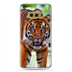 Samsung Galaxy S10e - etui na telefon z grafiką - Dumny tygrys