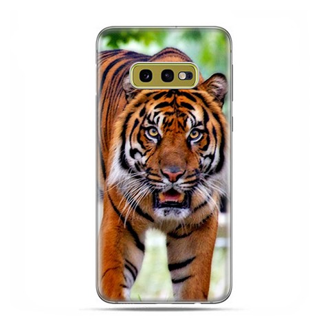 Samsung Galaxy S10e - etui na telefon z grafiką - Dumny tygrys