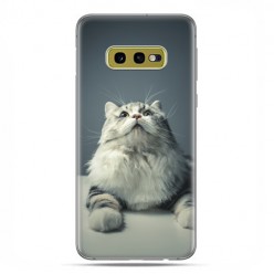 Samsung Galaxy S10e - etui na telefon z grafiką - Ciekawski szary kot