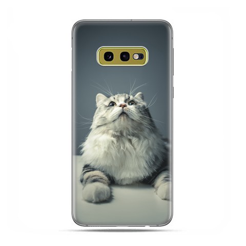 Samsung Galaxy S10e - etui na telefon z grafiką - Ciekawski szary kot